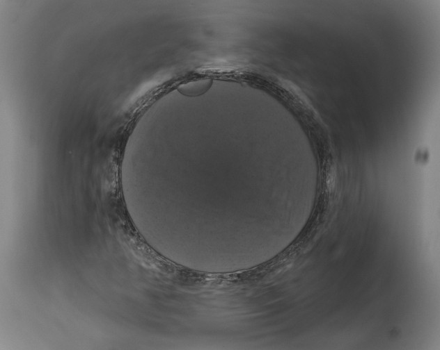 X0000114581350200911161300