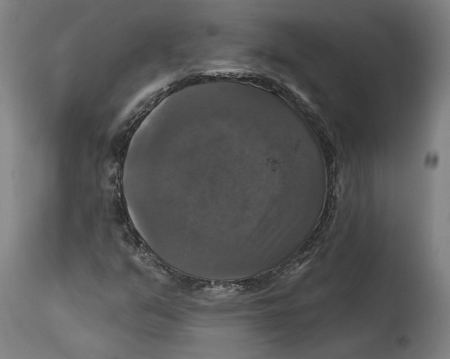 X0000114581351200911161300