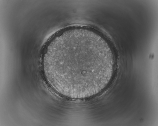 X0000114581352200911161300