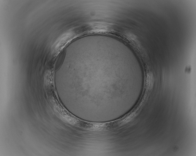 X0000114581353200911161300