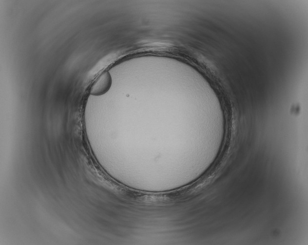 X0000114581354200911161300