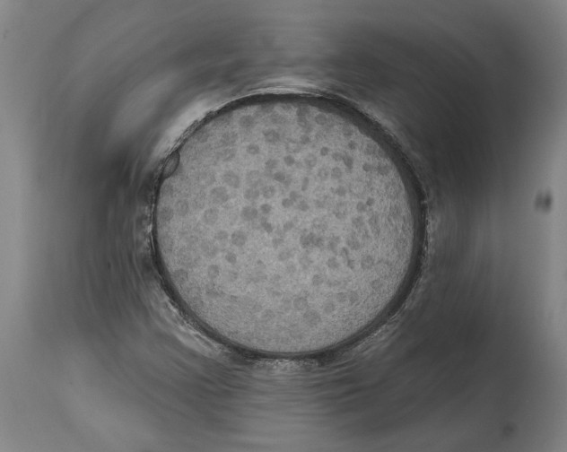 X0000114581355200911161300