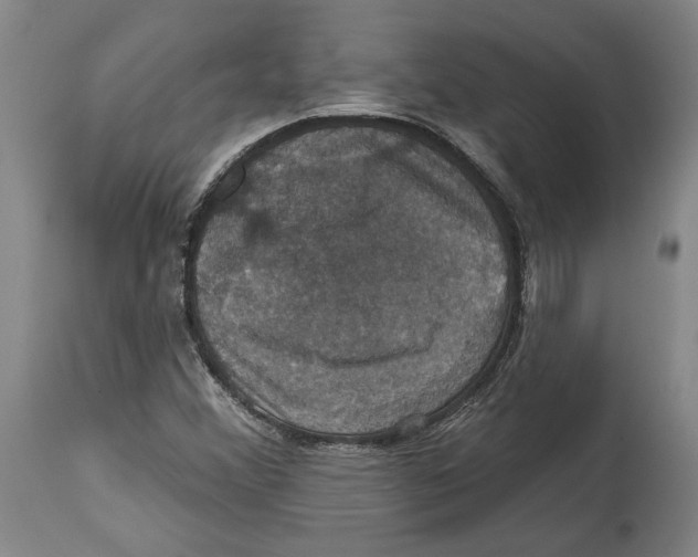 X0000114581356200911161300