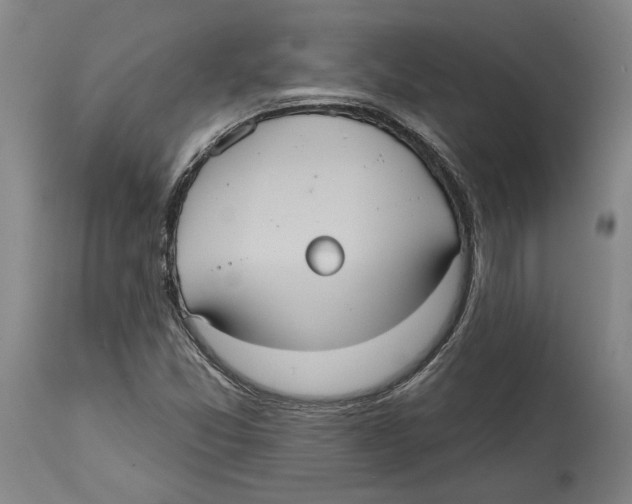 X0000114581357200911161300