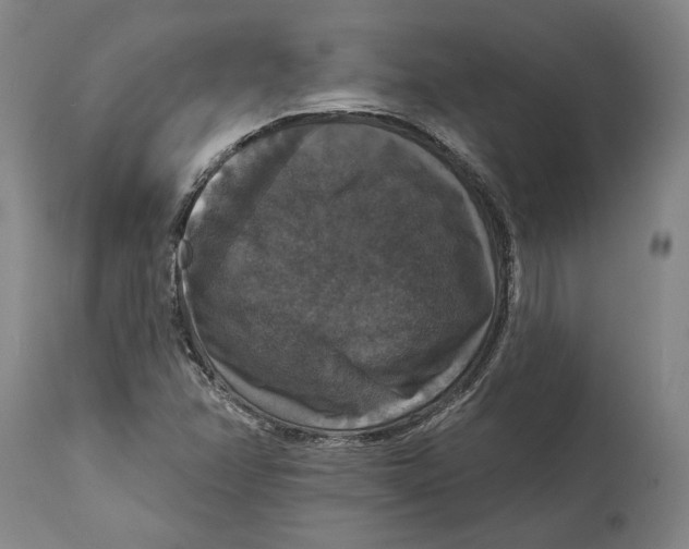 X0000114581358200911161300