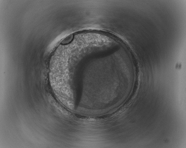 X0000114581359200911161300