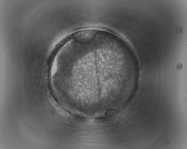 X0000114581360200911161300