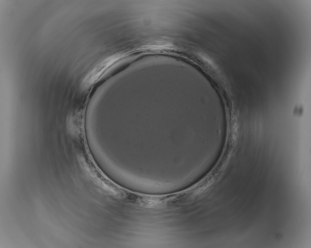 X0000114581361200911161300