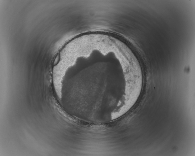 X0000114581363200911161300