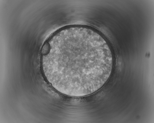 X0000114581364200911161300