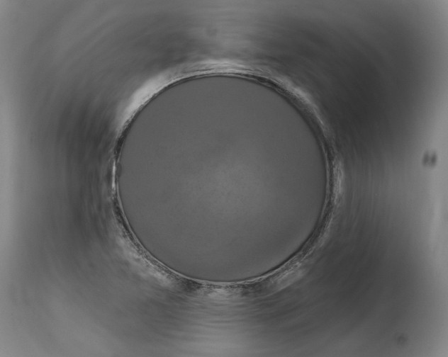 X0000114581365200911161300