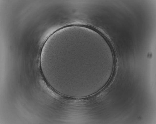 X0000114581367200911161300