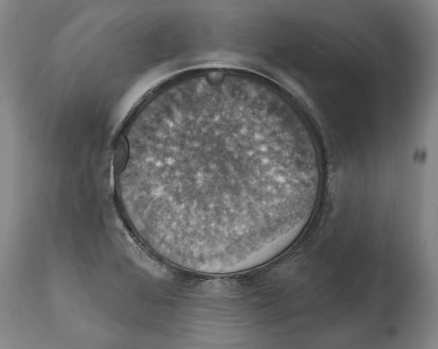 X0000114581368200911161259