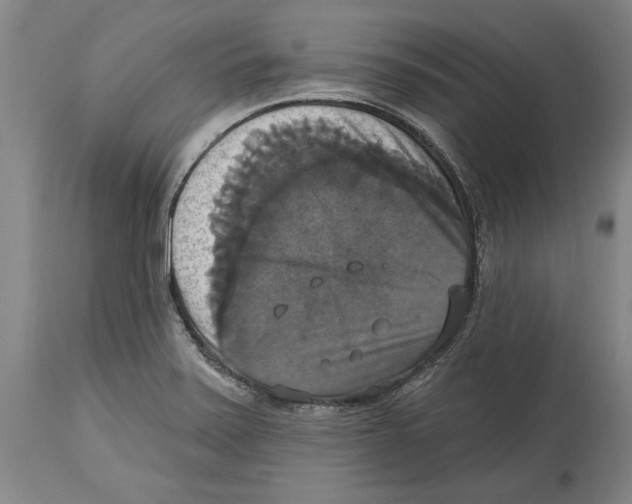 X0000114581371200911161259