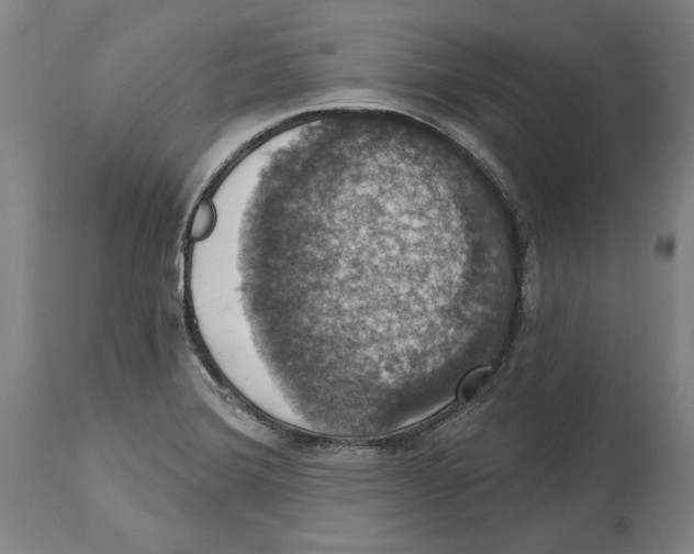 X0000114581372200911161259