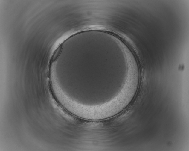 X0000114581373200911161259