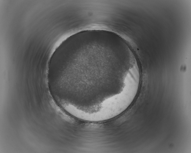 X0000114581374200911161259