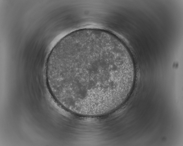 X0000114581375200911161259