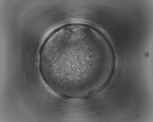 X0000114581376200911161259