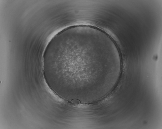 X0000114581380200911161259