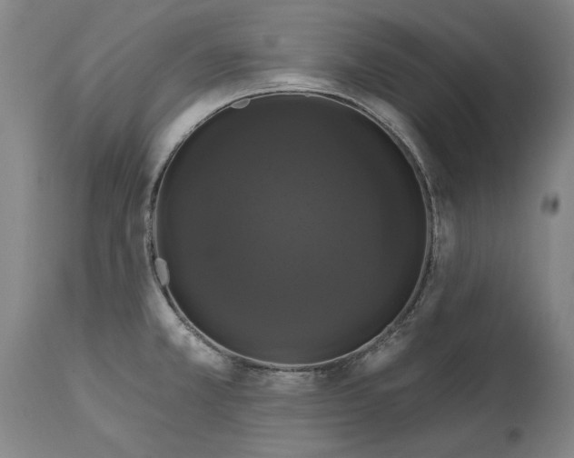 X0000114581381200911161259