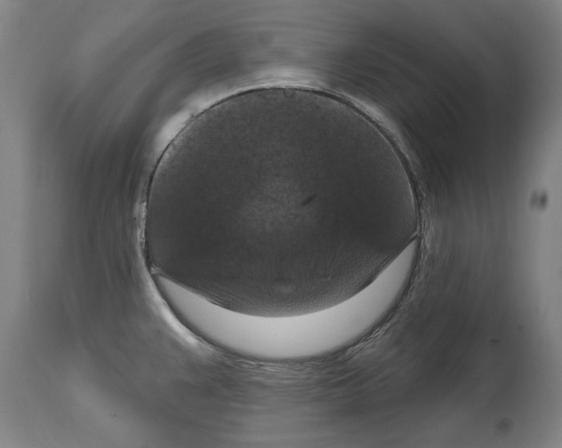 X0000114581383200911161259