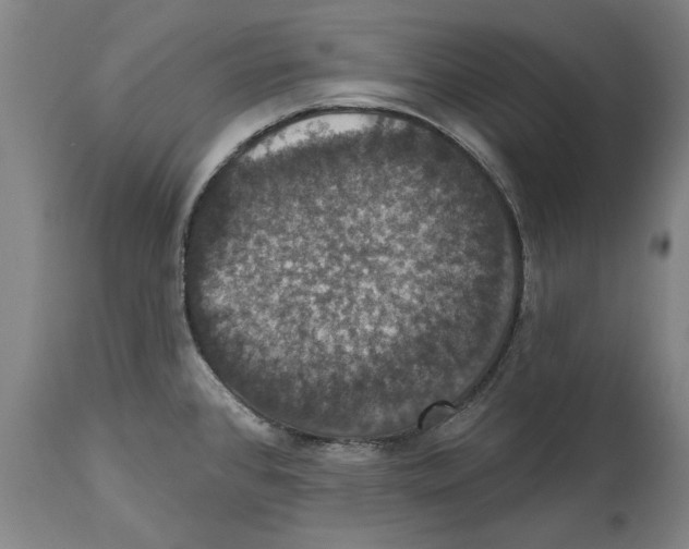 X0000114581384200911161259