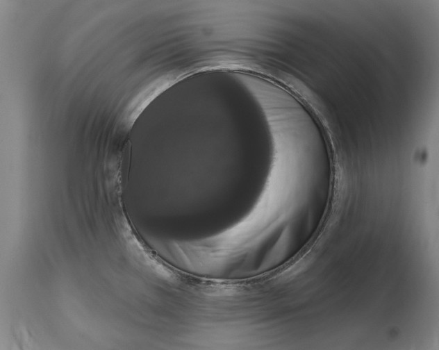 X0000114581385200911161259