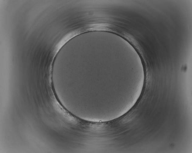 X0000114581386200911161259