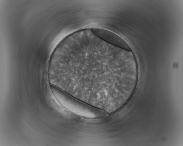 X0000114581392200911161259