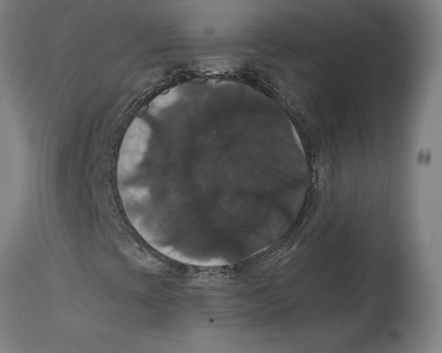 X0000114581393200911161258