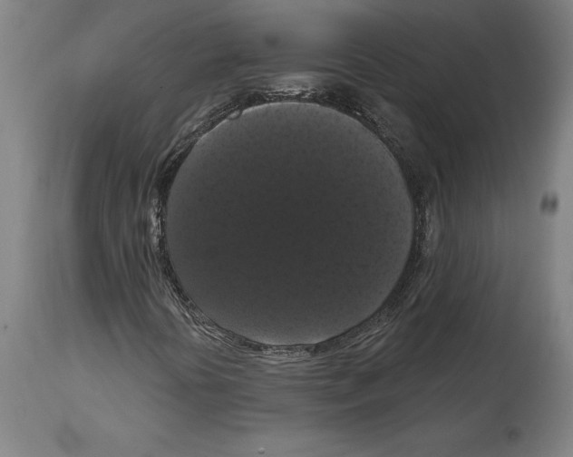 X0000114581394200911161258