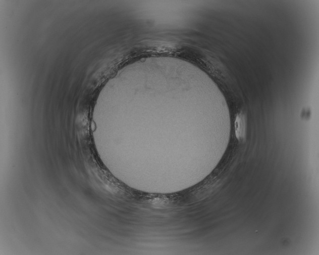 X0000114581395200911161258