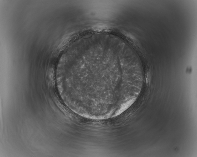 X0000114581396200911161258