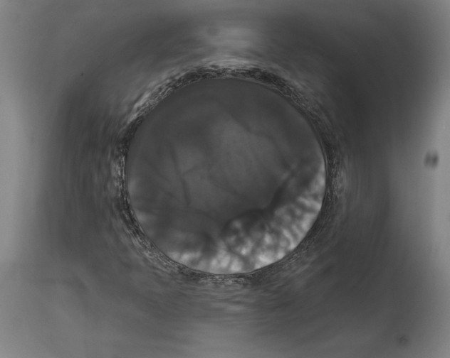 X0000114581397200911161258