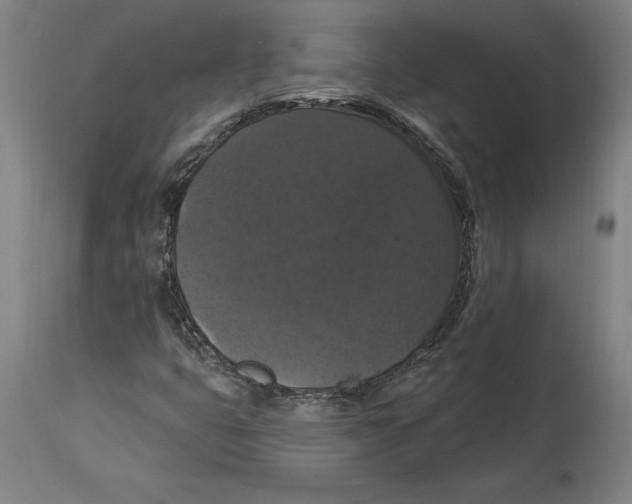 X0000114581399200911161258