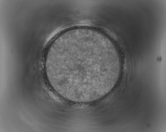 X0000114581400200911161258