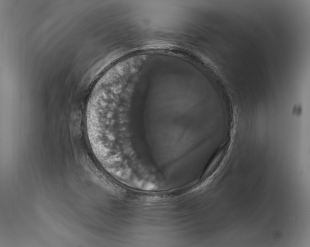 X0000114581401200911161258