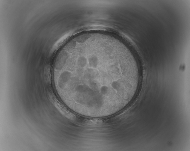 X0000114581403200911161258