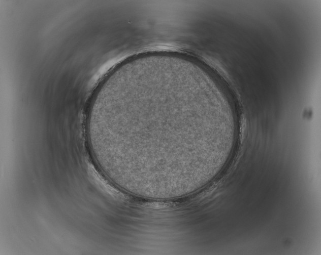 X0000114581404200911161258