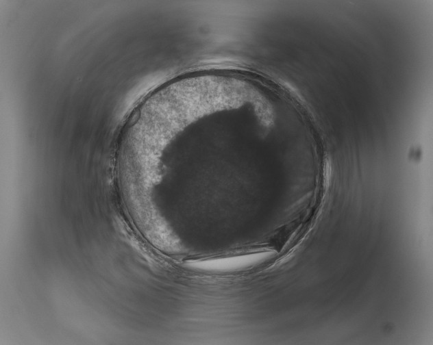 X0000114581405200911161259