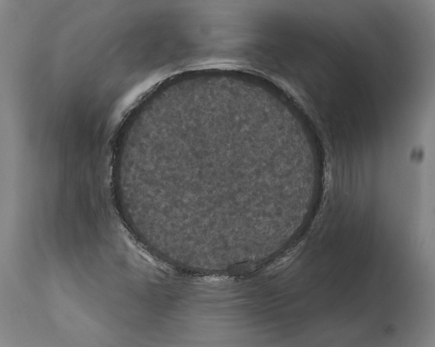 X0000114581406200911161259