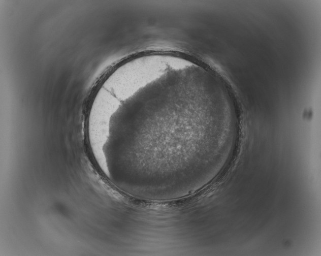 X0000114581408200911161259