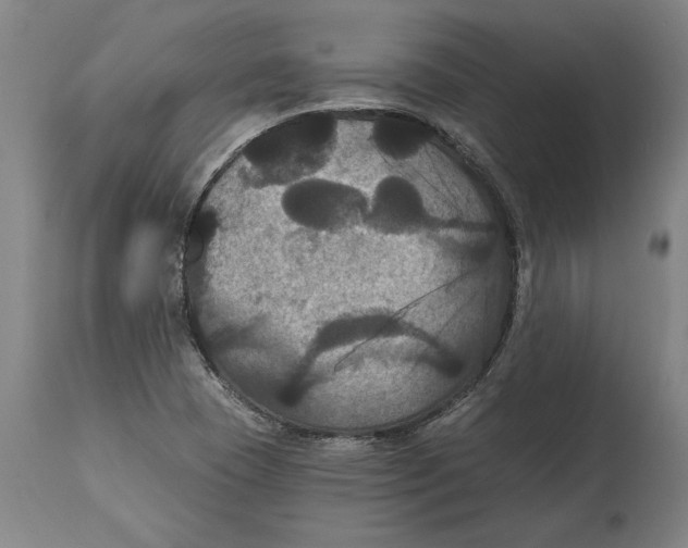 X0000114581409200911161259