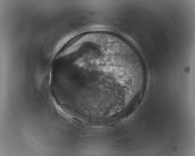 X0000114581413200911161259