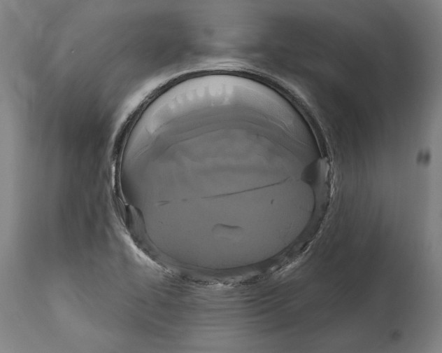 X0000114581414200911161259