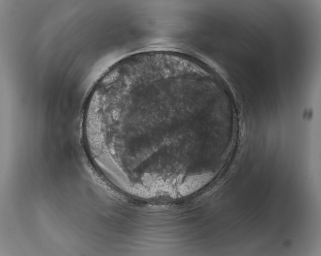 X0000114581415200911161259