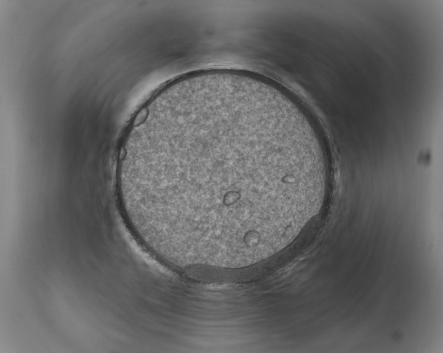 X0000114581416200911161259