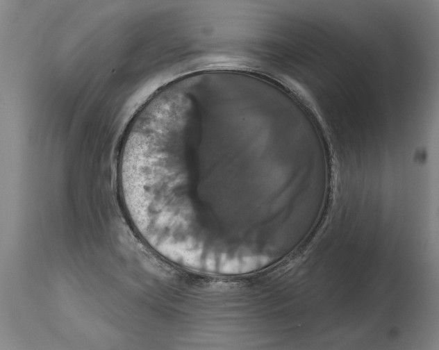 X0000114581419200911161259