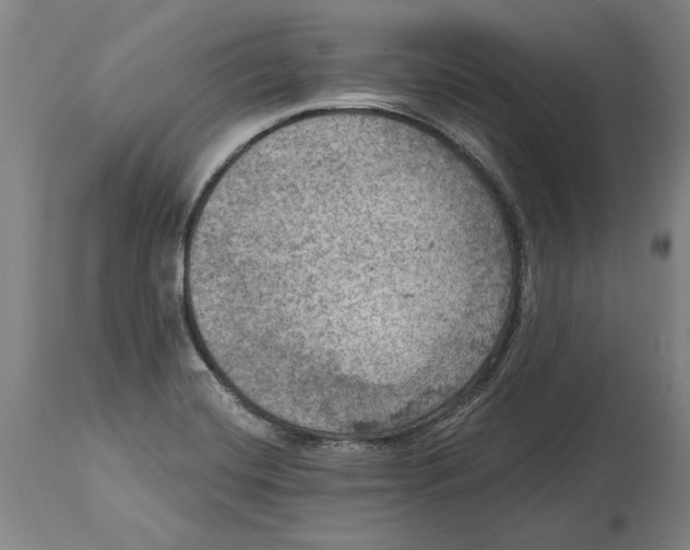 X0000114581420200911161259